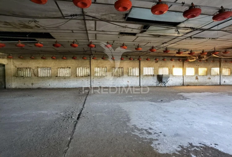 Armazém para Venda em São Vicente do Paul e Vale de Figueira Foto 27