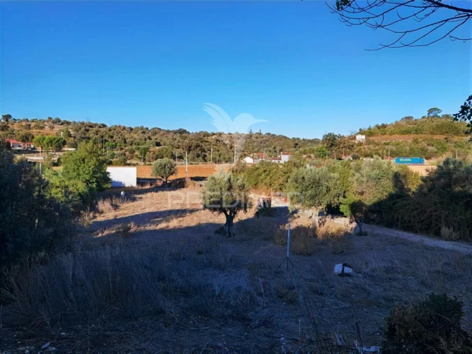 Armazém para Venda em São Vicente do Paul e Vale de Figueira Foto 18