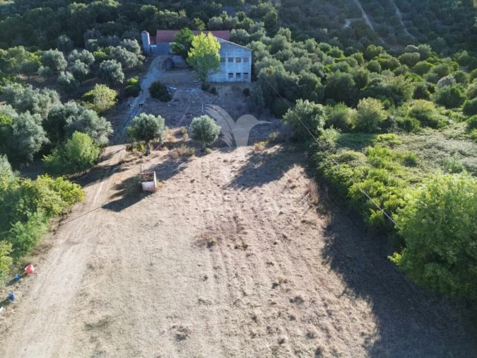 Armazém para Venda em São Vicente do Paul e Vale de Figueira Foto 3