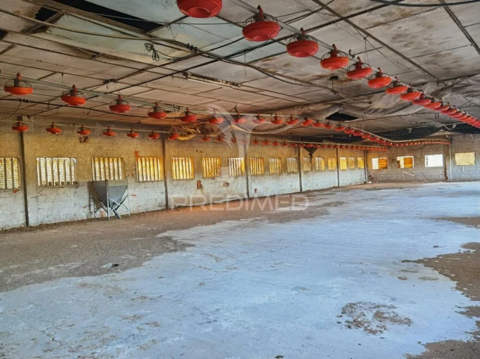 Armazém para Venda em São Vicente do Paul e Vale de Figueira Foto 24