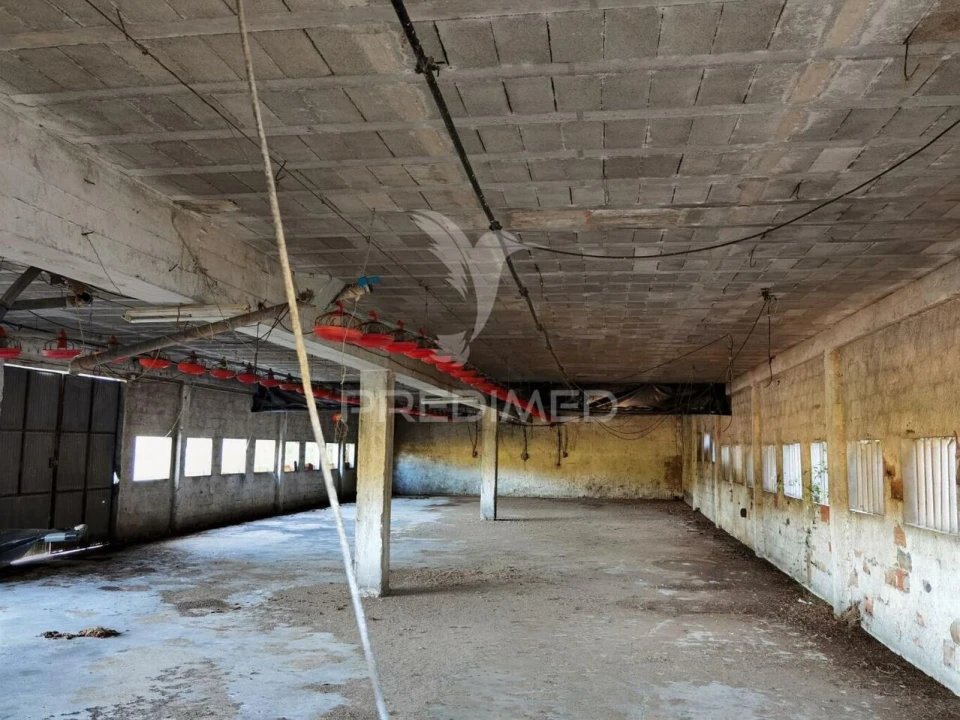 Armazém para Venda em São Vicente do Paul e Vale de Figueira Foto 20