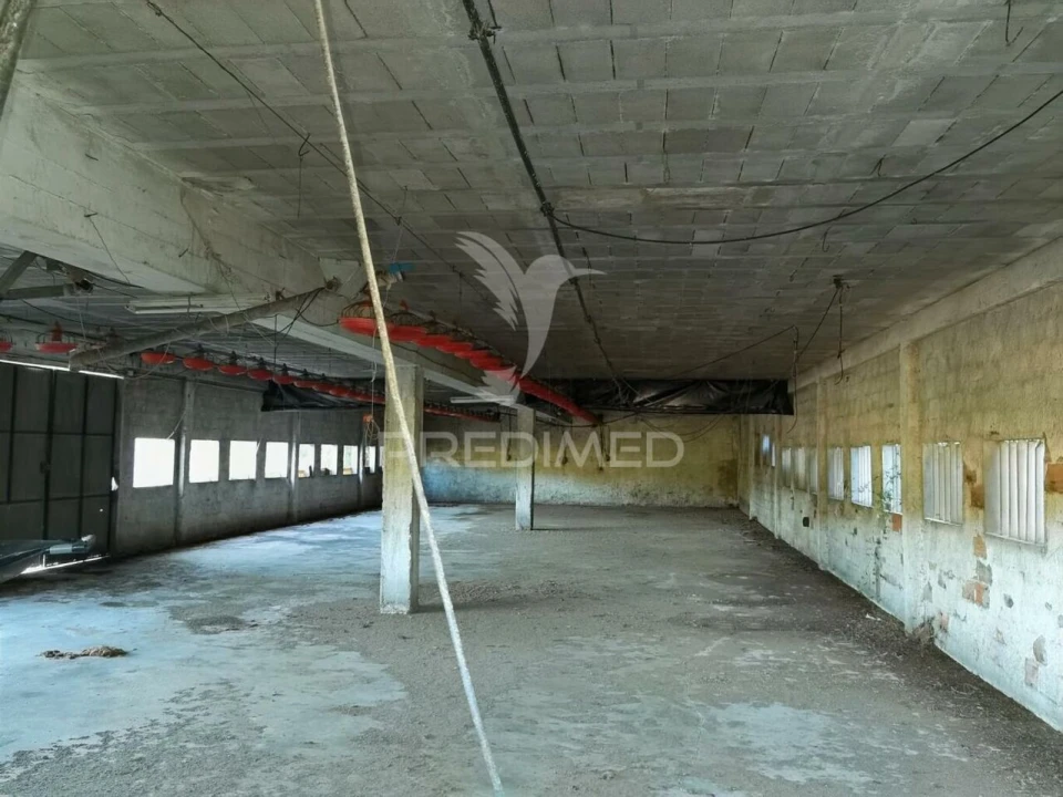 Armazém para Venda em São Vicente do Paul e Vale de Figueira Foto 19