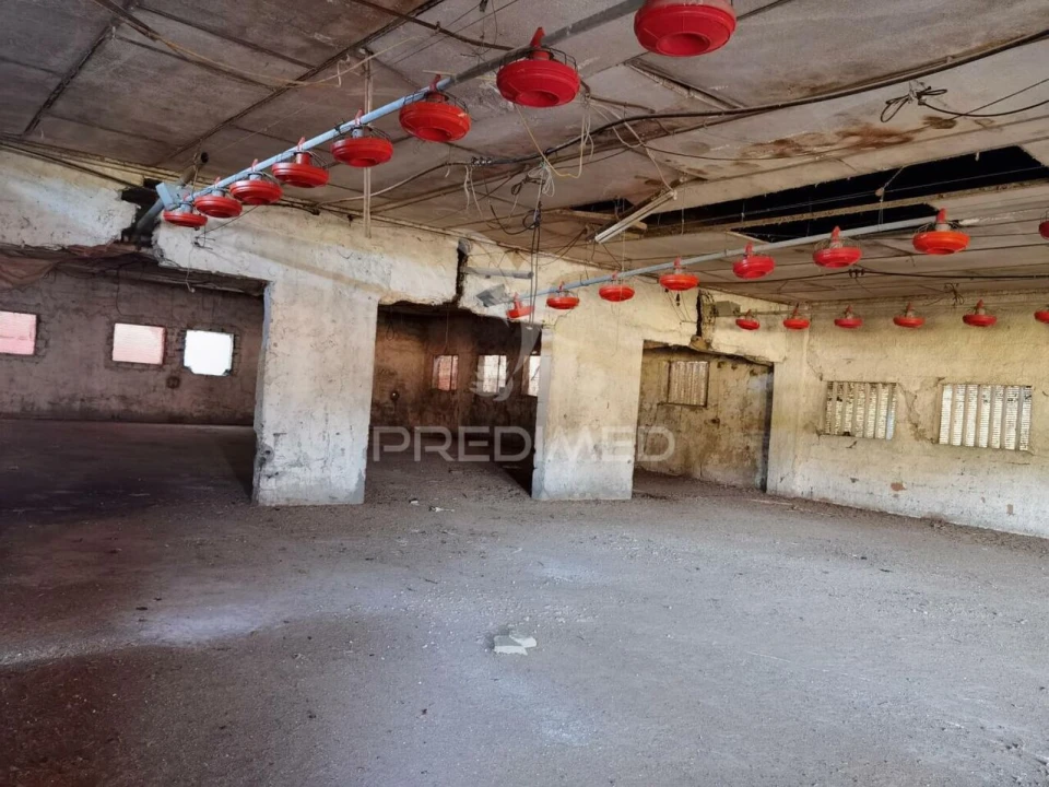 Armazém para Venda em São Vicente do Paul e Vale de Figueira Foto 28