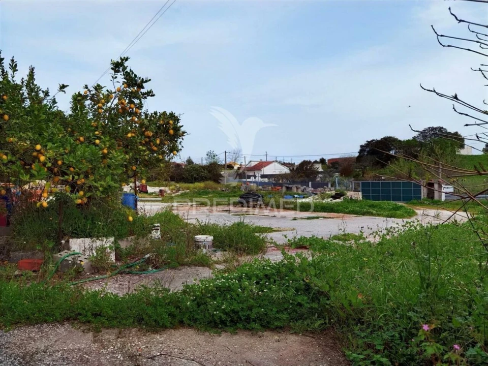 Armazém para Venda em Alcanena e Vila Moreira Foto 12