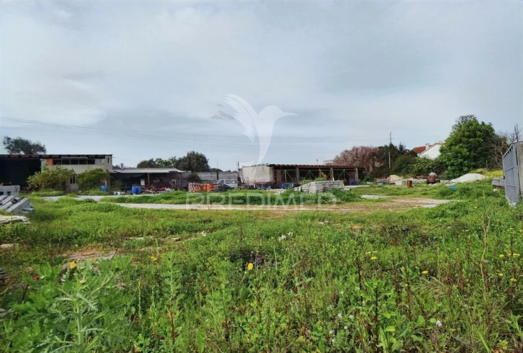 Armazém para Venda em Alcanena e Vila Moreira Foto 17