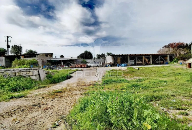 Armazém para Venda em Alcanena e Vila Moreira Foto 14