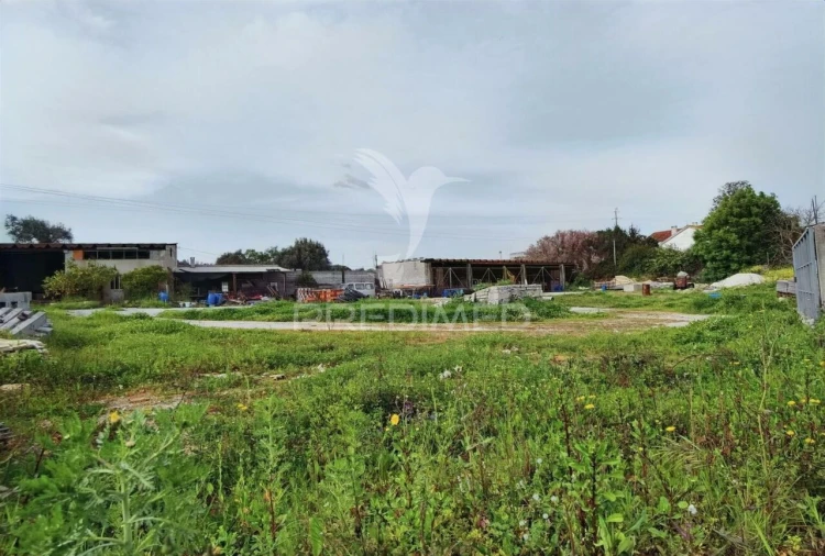 Armazém para Venda em Alcanena e Vila Moreira Foto 17