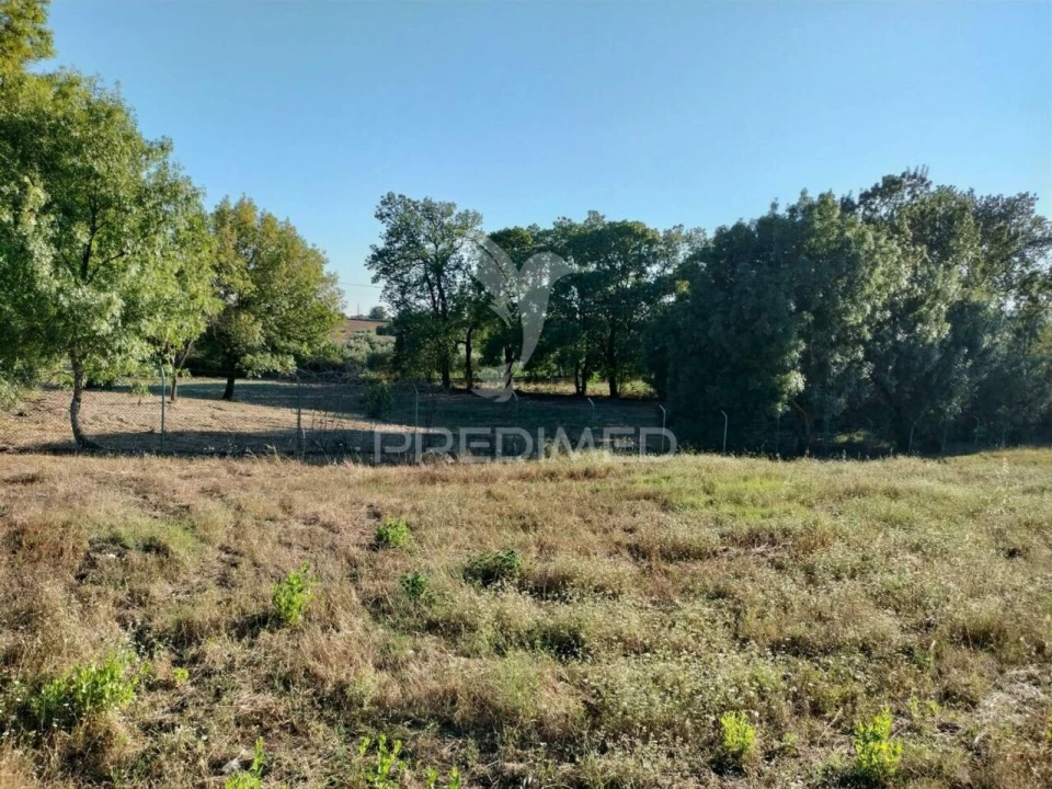 Terreno para Venda em Torres Novas (Santa Maria, Salvador e Santiago) Foto 13