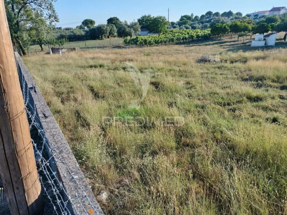Terreno para Venda em Torres Novas (Santa Maria, Salvador e Santiago) Foto 19