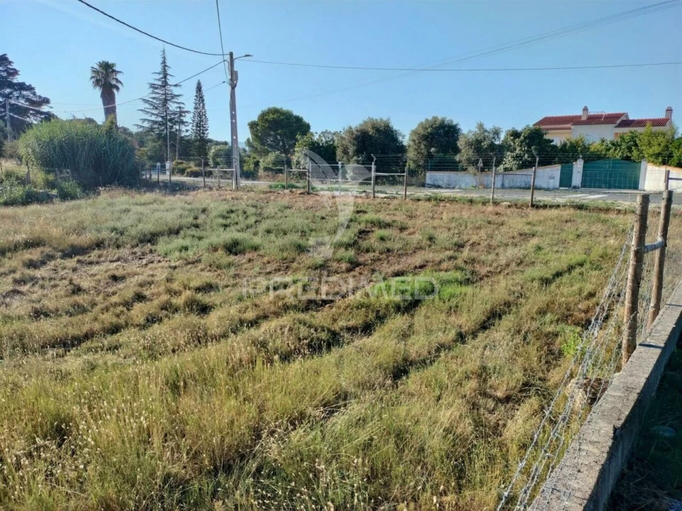Terreno para Venda em Torres Novas (Santa Maria, Salvador e Santiago) Foto 3