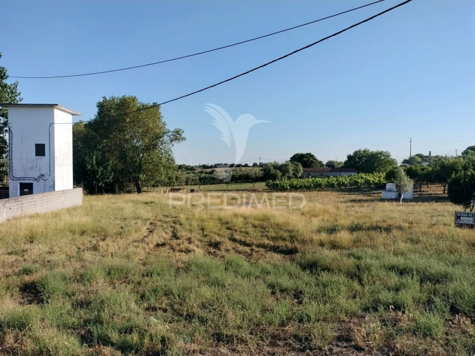 Terreno para Venda em Torres Novas (Santa Maria, Salvador e Santiago) Foto 5