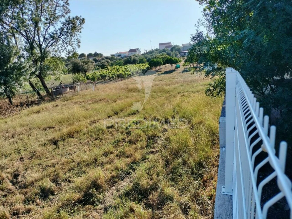 Terreno para Venda em Torres Novas (Santa Maria, Salvador e Santiago) Foto 11