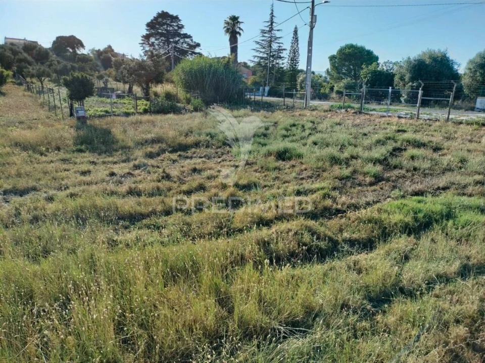 Terreno para Venda em Torres Novas (Santa Maria, Salvador e Santiago) Foto 18