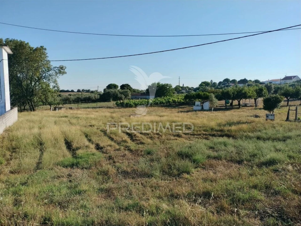 Terreno para Venda em Torres Novas (Santa Maria, Salvador e Santiago) Foto 2