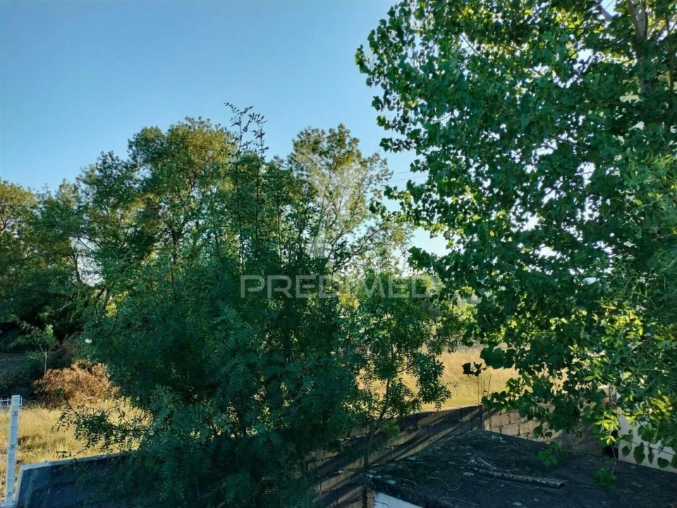 Terreno para Venda em Torres Novas (Santa Maria, Salvador e Santiago) Foto 22