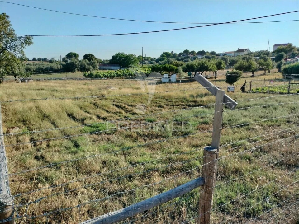 Terreno para Venda em Torres Novas (Santa Maria, Salvador e Santiago) Foto 10