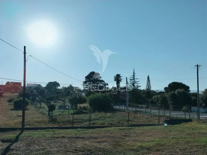 Terreno para Venda em Torres Novas (Santa Maria, Salvador e Santiago) Foto 16