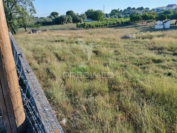 Terreno para Venda em Torres Novas (Santa Maria, Salvador e Santiago) Foto 19
