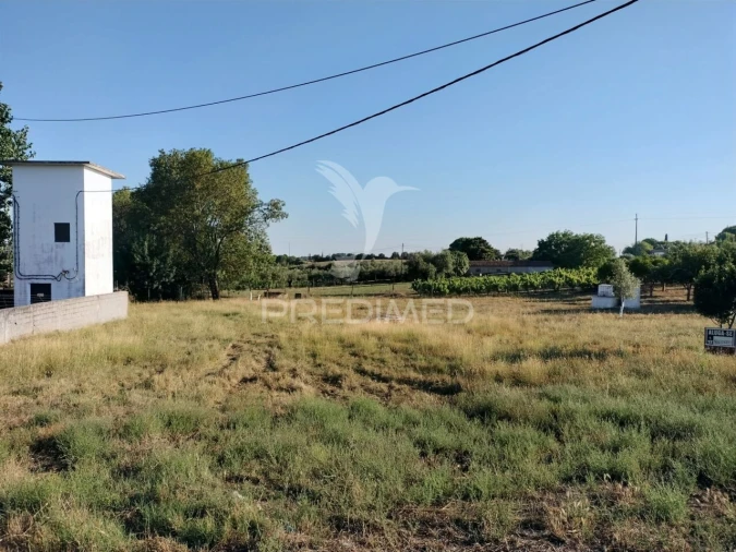 Terreno para Venda em Torres Novas (Santa Maria, Salvador e Santiago) Foto 5