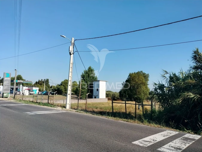 Terreno para Venda em Torres Novas (Santa Maria, Salvador e Santiago) Foto 7