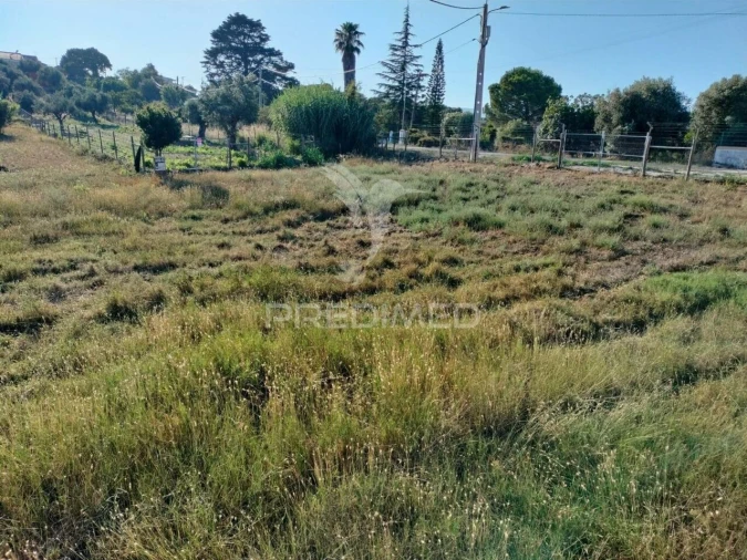 Terreno para Venda em Torres Novas (Santa Maria, Salvador e Santiago) Foto 1