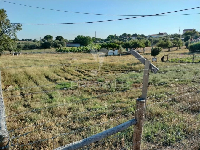 Terreno para Venda em Torres Novas (Santa Maria, Salvador e Santiago) Foto 10