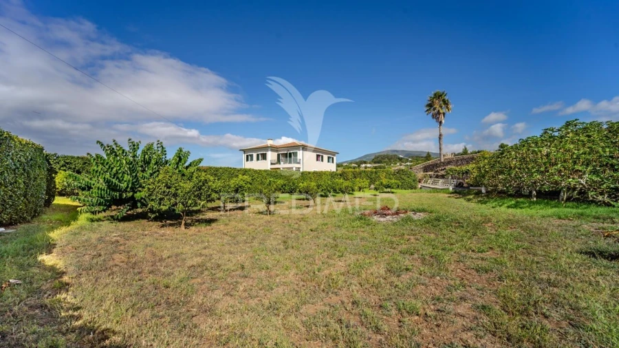 Moradia T3 para Venda em São Mateus da Calheta Foto 9