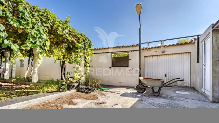 Moradia T3 para Venda em São Mateus da Calheta Foto 31