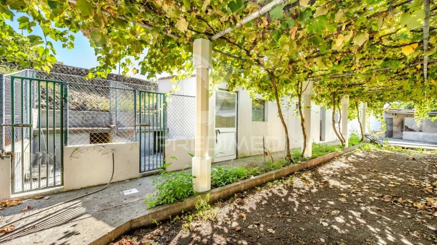 Moradia T3 para Venda em São Mateus da Calheta Foto 33