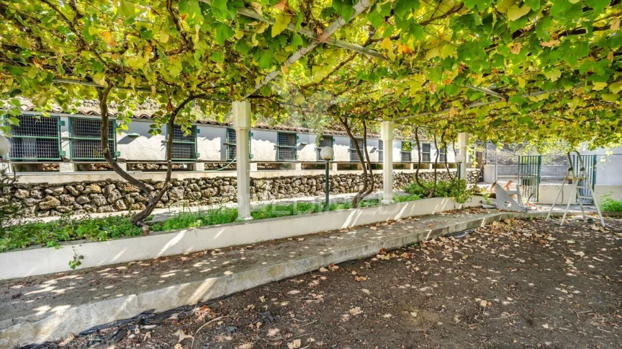 Moradia T3 para Venda em São Mateus da Calheta Foto 32