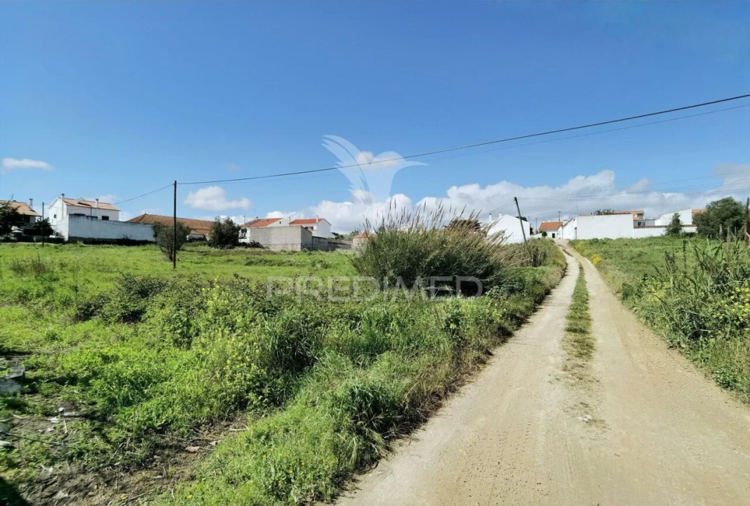 Terreno para Venda em São Vicente do Paul e Vale de Figueira Foto 20