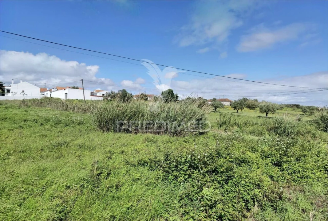 Terreno para Venda em São Vicente do Paul e Vale de Figueira Foto 25
