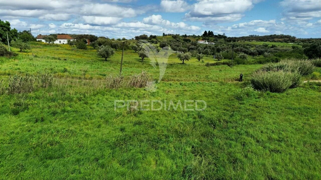 Terreno para Venda em São Vicente do Paul e Vale de Figueira Foto 9
