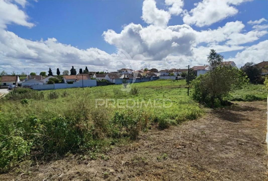 Terreno para Venda em São Vicente do Paul e Vale de Figueira Foto 19