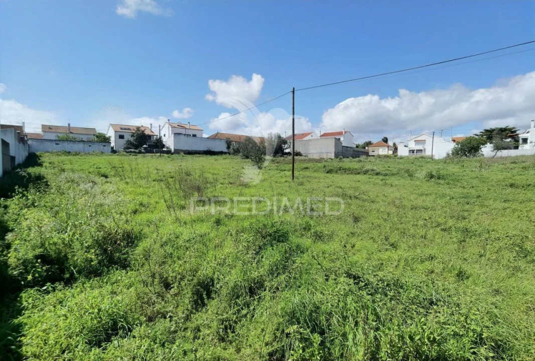 Terreno para Venda em São Vicente do Paul e Vale de Figueira Foto 26