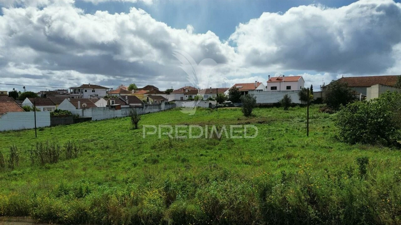 Terreno para Venda em São Vicente do Paul e Vale de Figueira Foto 16