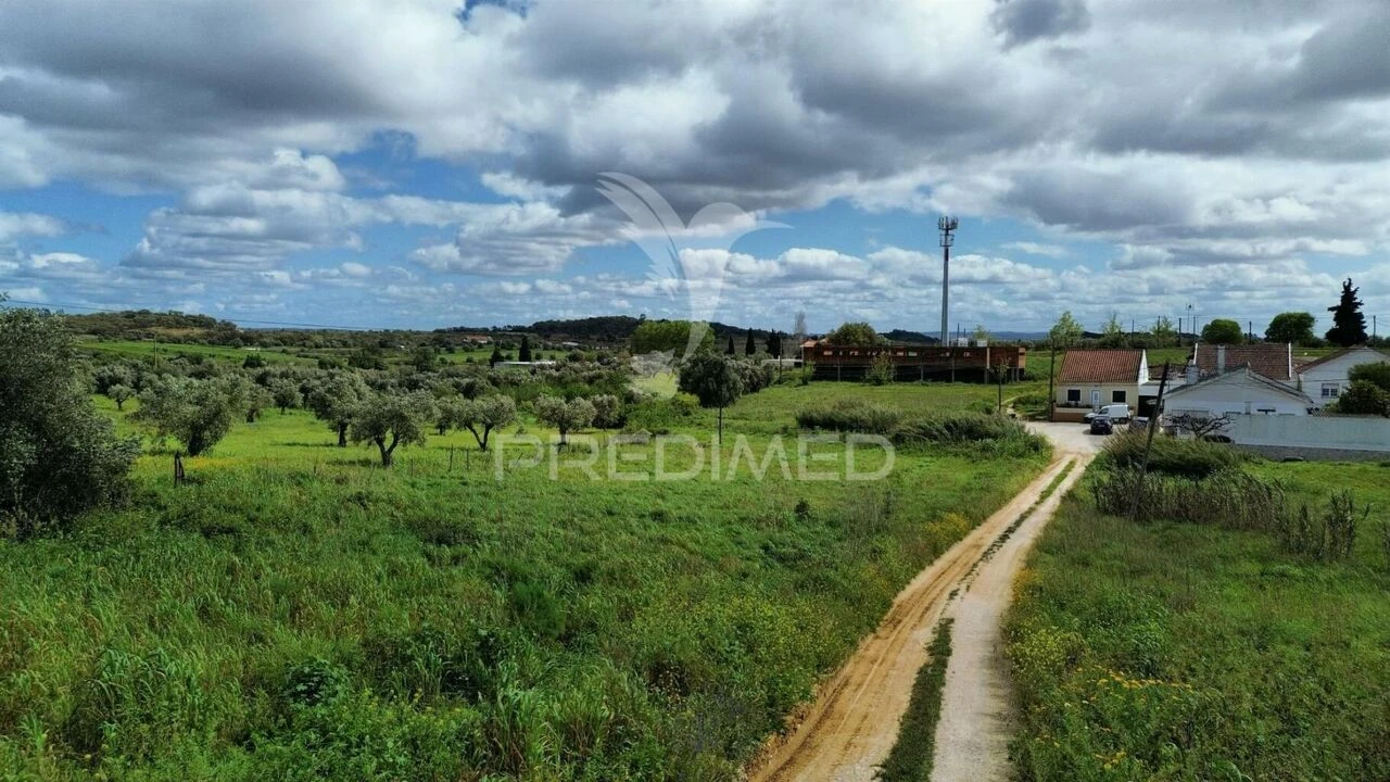 Terreno para Venda em São Vicente do Paul e Vale de Figueira Foto 18