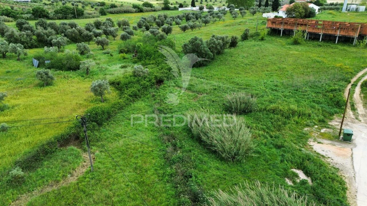 Terreno para Venda em São Vicente do Paul e Vale de Figueira Foto 5