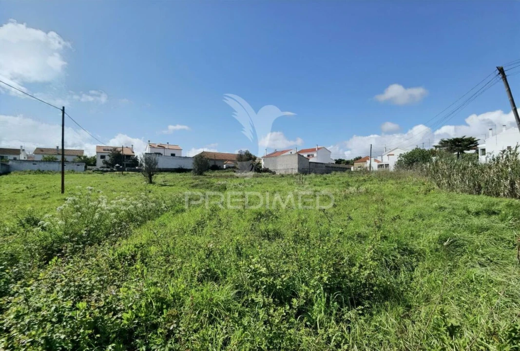 Terreno para Venda em São Vicente do Paul e Vale de Figueira Foto 22