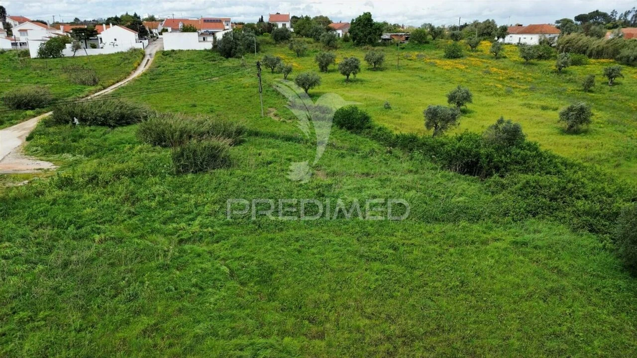 Terreno para Venda em São Vicente do Paul e Vale de Figueira Foto 11