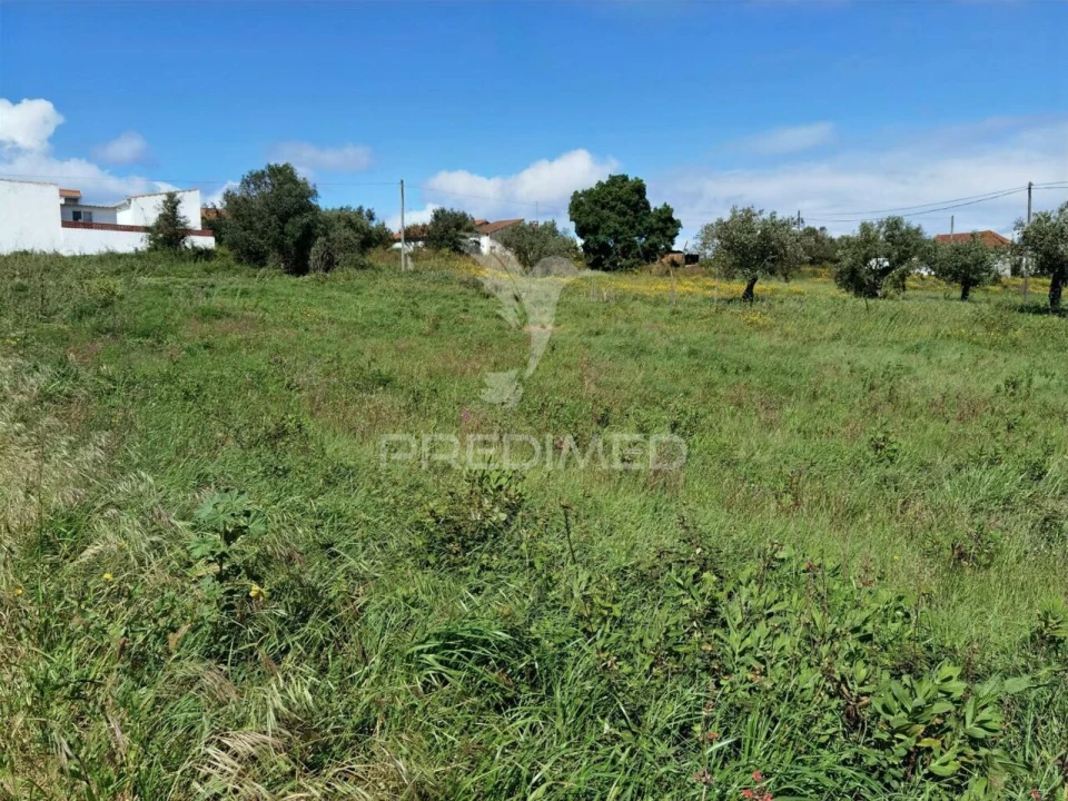 Terreno para Venda em São Vicente do Paul e Vale de Figueira Foto 23