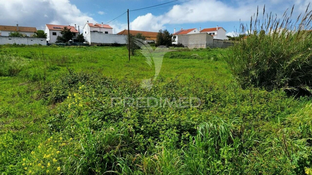 Terreno para Venda em São Vicente do Paul e Vale de Figueira Foto 14