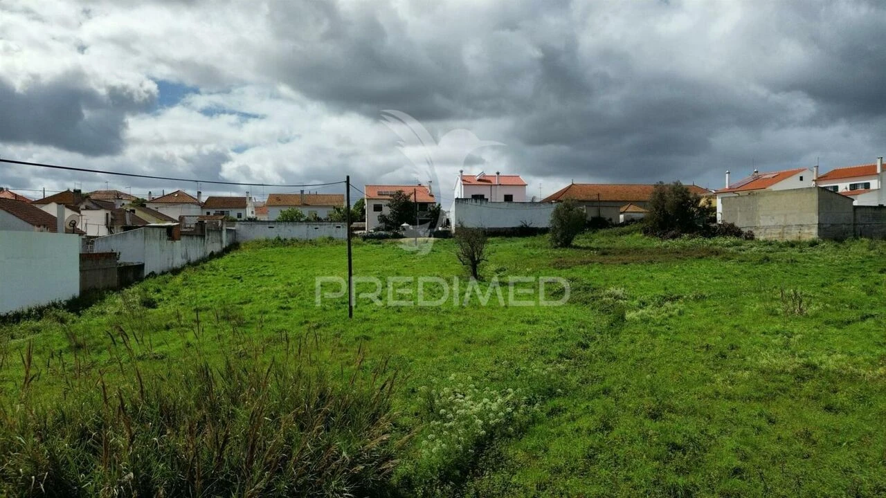 Terreno para Venda em São Vicente do Paul e Vale de Figueira Foto 3