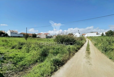 Terreno para Venda em São Vicente do Paul e Vale de Figueira