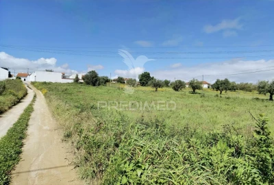 Terreno para Venda em São Vicente do Paul e Vale de Figueira