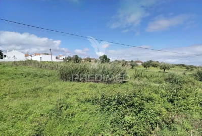 Terreno para Venda em São Vicente do Paul e Vale de Figueira