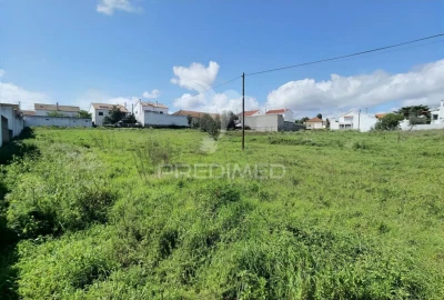 Terreno para Venda em São Vicente do Paul e Vale de Figueira
