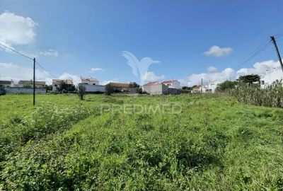 Terreno para Venda em São Vicente do Paul e Vale de Figueira