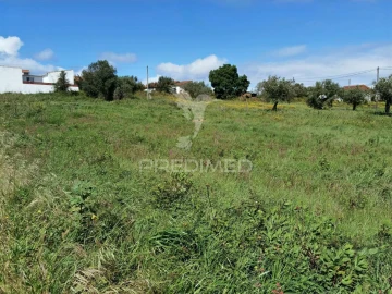 Terreno para Venda em São Vicente do Paul e Vale de Figueira