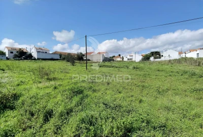 Terreno para Venda em São Vicente do Paul e Vale de Figueira